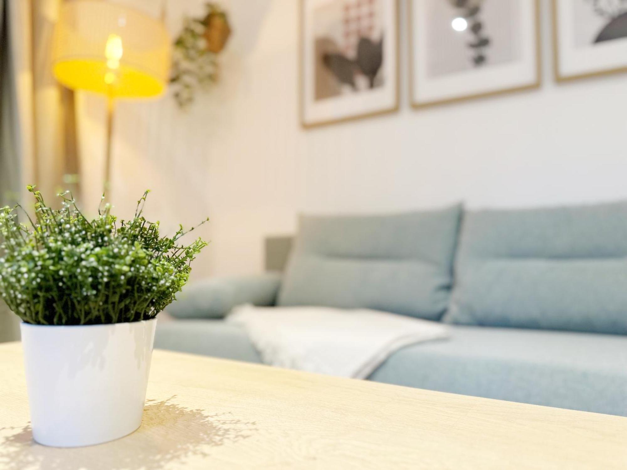 Gemuetliches 2 Ambient Mit Queensize-bett , Etagenbett& Schlafsofa In Alsternaehe Appartement *